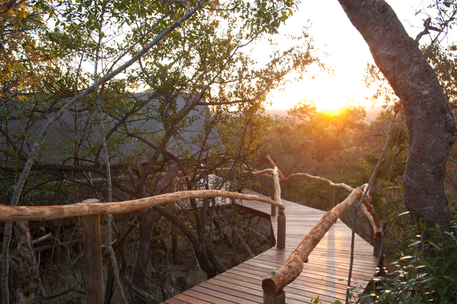 Camp Davidson guest tent 2